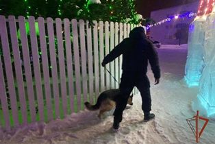 Безопасность в новогоднюю ночь обеспечила Росгвардия в Томской области