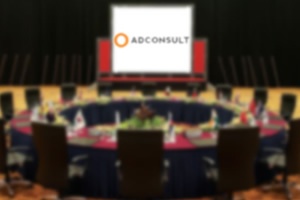Конференция ADCONSULT—2015 в Тбилиси