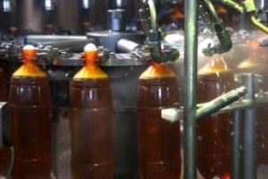 Изгоняющий пластик: пиво в ПЭТ-бутылках будет вне закона