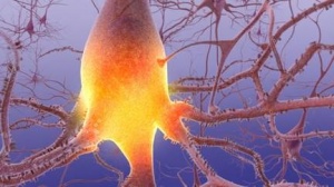 Болезнь Альцгеймера – серьезное заболевание центральной нервной системы