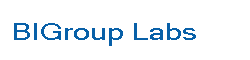Business Intelligence Group Labs