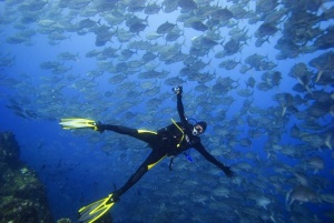 Погрузитесь в подводный мир Мексики или Коста Рики с туроператором ICS Travel Group