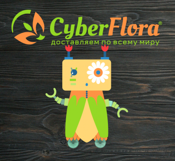 Сервис доставки цветов Cyber Flora поможет поздравить бизнес-партнёров