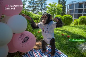 Приглашаем на день рождения зоопарка «Планета обезьян и диких кошек»!