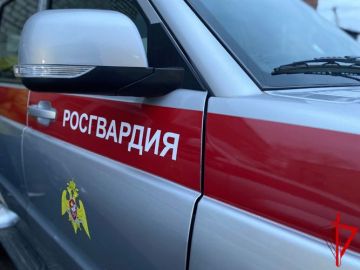 Экипаж Росгвардии в Томске задержал подозреваемого в совершении кражи