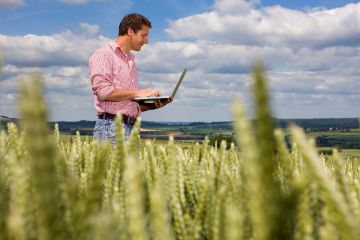 «Солнечные продукты» расскажут о применении инновационных технологий в сельском хозяйстве