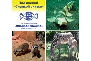 «Сладкая сказка» опекает животных Московского зоопарка