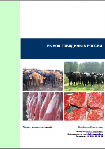 Анализ рынка говядины в России 2020