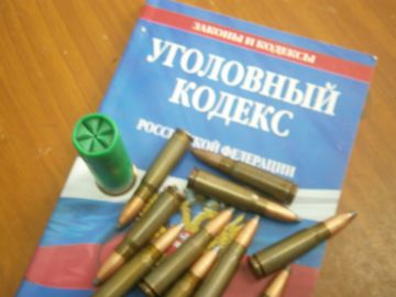 В Зеленограде возбуждено уголовное дело по факту незаконного хранения оружия