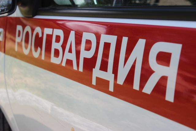 В Челябинске Росгвардейцы спасли застрявшую в заборе косулю