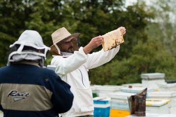 Как династия пчеловодов из Новосибирской области развивает агротуризм в регионе