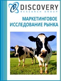 Анализ рынка животноводства в России: скотоводство, свиноводство, птицеводство (с предоставлением базы импортно-экспортных операций)