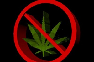 Карельскую фирму оштрафовали на 800 тысяч за рекламу марихуаны