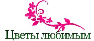 Мы открыли новый интернет-магазин доставки цветов «Цветы любимым» в городе Воронеж!