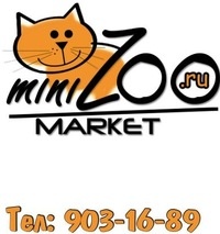 MiniZooMarket предлагает новые корма для кошек