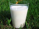 Фальсифицированные молочные продукты не пустили на донские прилавки