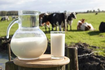 Россельхозбанк прогнозирует увеличение потребления молока к 2025 году