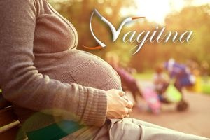 Vagitna.net приглашает в магазины для беременных на сезон «Осень-2015»