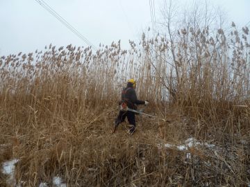 «Россети ФСК ЕЭС» очистит от пожароопасных зарослей линии электропередачи на территории Белгородской области