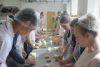 Колледж сферы услуг №3 г. Москвы сообщил о возможности обучиться хлебопёка