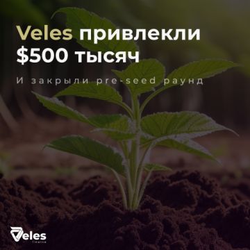 Платформа для автоматизации трейдинга Veles привлека $500 тыс.