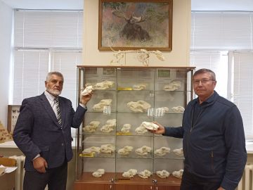 Экспозиция лаборатории «Музей природы» АлтГУ пополнилась новыми редкими экспонатами
