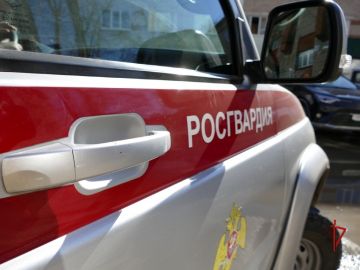Росгвардейцы в Томске задержали похитителя кабеля на месте преступления