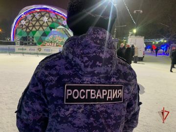 Росгвардия в Томской области обеспечила правопорядок и общественную безопасность в новогоднюю ночь