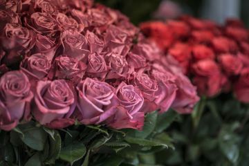 Скидки до 20% в цветочном магазине Rurose.ru в агрофирме «Подмосковное»