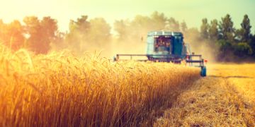 Россельхозбанк  почти на 70% увеличил поддержку сезонных работ в Курской области