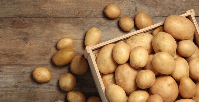 РСХБ рассказал, как полезнее всего есть картофель