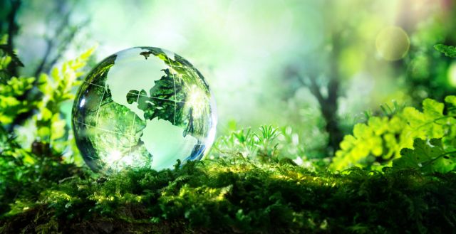 Фонд «Экология» РСХБ за будущее без пластикового пакета