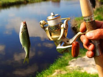 Интернет-магазин HOXWELL.ru предлагает широкий выбор товаров для рыбалки