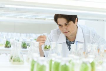 Ученые АлтГУ изучают возможности работы с искусственными семенами