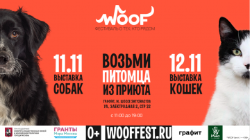 Благотворительный фестиваль WOOF в поддержку животных из приютов
