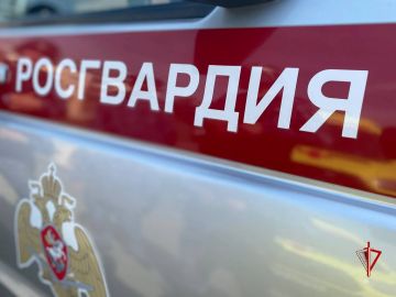 Сотрудники Росгвардии в Томске задержали пассажира такси, объявленного в розыск