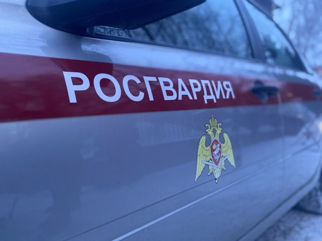 Сотрудники Росгвардии в Томске задержали проникшего на территорию школы мужчину