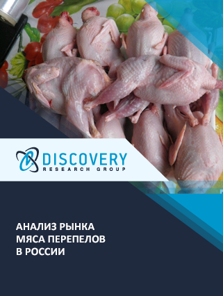 Анализ рынка мяса перепелов в России