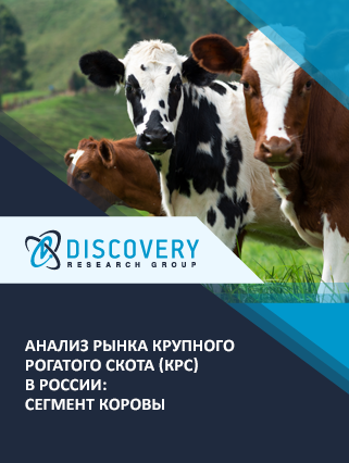 Анализ рынка крупного рогатого скота (КРС) в России: сегмент коровы