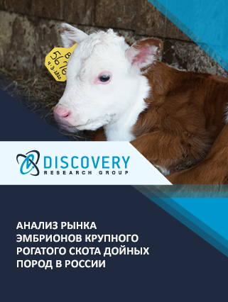 Анализ рынка эмбрионов крупного рогатого скота дойных пород в России