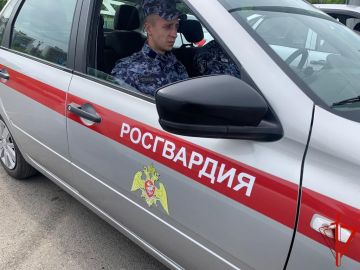 В Томске сотрудники Росгвардии задержали двух людей, находящихся в розыске