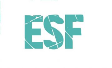 SMM-агентство ESF Group – новый сайт и ассортимент услуг