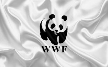В новой кампании WWF животные исчезли, чтобы побудить людей к действиям