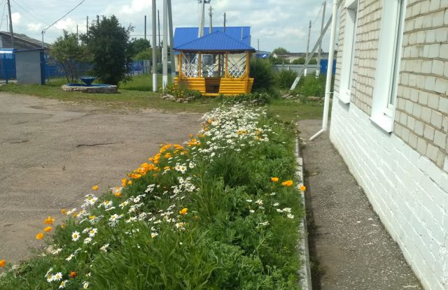 В «Мариэнерго» подведены итоги конкурса «Зеленый РЭС»