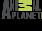 Animal Planet представил новое эфирное оформление и запустил HD-вещание