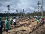 Компания ‪‎KASTAMONU‬ приняла участие во всероссийской акции 