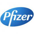 Pfizer совместно с Fleishman-Hillard Vanguard поднял проблему фибромиалгии в обществе