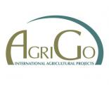 AgriGo стала генеральным подрядчиком строительства свинокомплекса в Беларуси