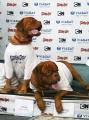 В Украине прошла первая в мире собачья пресс-конференция