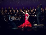 “Королева оперы” Суми Чо и Kia Quoris вновь поразили столичную публику